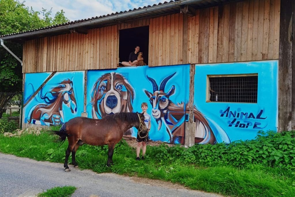Für den Gnadenhof Animal hope aus Rosenberg im Landkreis Neckar-Odenwald-Kreis haben wir eine Scheune mit einem farbenfrohen Graffiti verschönert.