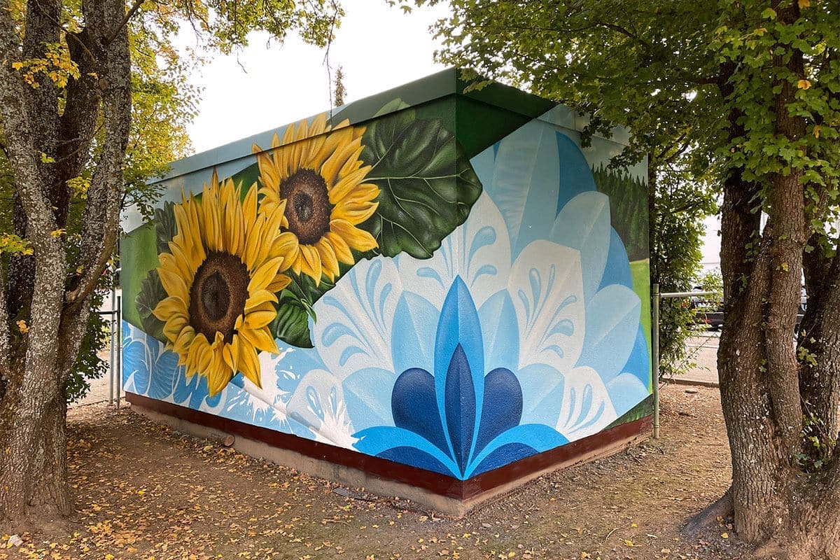 Für die Netze BW haben Chris und Moritz in Rangendingen im Landkreis Zollernalbkreis eine Ära Trafostationen farbenfroh gestaltet.