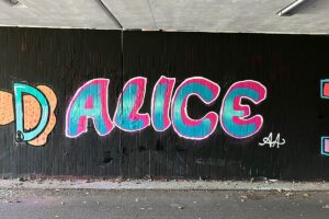 Unser erster Graffiti-Workshop in Mannheim mit der Abendakademie war ein kreatives Highlight!“ Theorie und Praxis kamen zusammen, und die Teilnehmer gestalteten ihre eigenen Kunstwerke in der Hall of Fame.