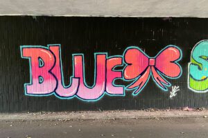 Unser erster Graffiti-Workshop in Mannheim mit der Abendakademie war ein kreatives Highlight!“ Theorie und Praxis kamen zusammen, und die Teilnehmer gestalteten ihre eigenen Kunstwerke in der Hall of Fame.