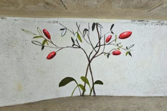 Graffiti-Kunst bringt Farbe in die Wertheimer Tiefgarage. Mit Tiermotiven und grafischen Elementen wird der Weg zur Altstadt zum Erlebnis.