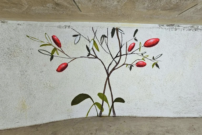 Graffiti-Kunst bringt Farbe in die Wertheimer Tiefgarage. Mit Tiermotiven und grafischen Elementen wird der Weg zur Altstadt zum Erlebnis.