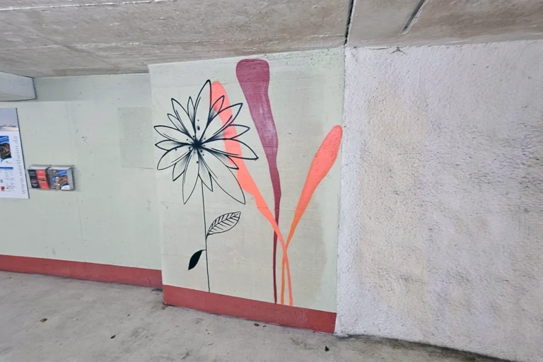 Graffiti-Kunst bringt Farbe in die Wertheimer Tiefgarage. Mit Tiermotiven und grafischen Elementen wird der Weg zur Altstadt zum Erlebnis.