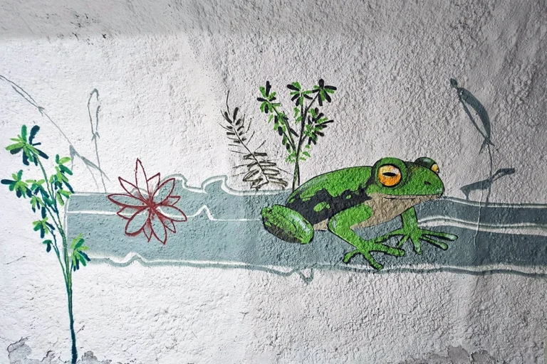 Graffiti-Kunst bringt Farbe in die Wertheimer Tiefgarage. Mit Tiermotiven und grafischen Elementen wird der Weg zur Altstadt zum Erlebnis.