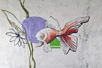 Graffiti-Kunst bringt Farbe in die Wertheimer Tiefgarage. Mit Tiermotiven und grafischen Elementen wird der Weg zur Altstadt zum Erlebnis.