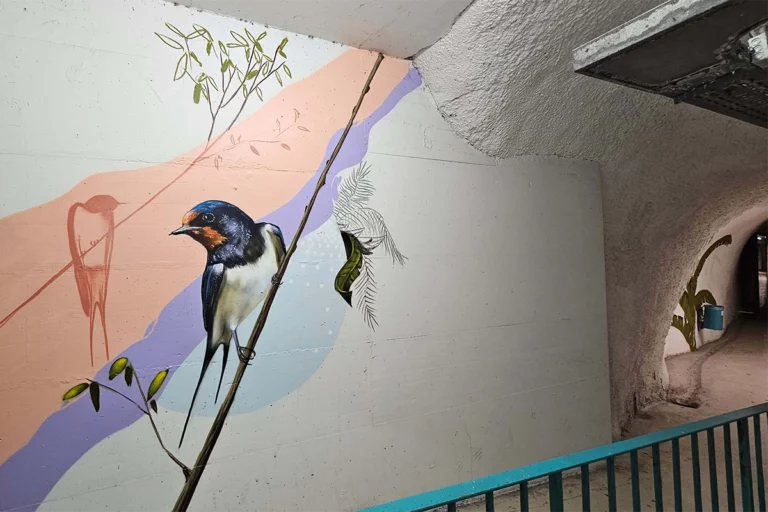 Graffiti-Kunst bringt Farbe in die Wertheimer Tiefgarage. Mit Tiermotiven und grafischen Elementen wird der Weg zur Altstadt zum Erlebnis.