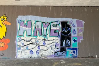 Nach dem Erfolg des ersten Workshops haben wir nun einen zweiten Graffiti-Workshop in Mannheim durchgeführt. Theorie, Praxis und kreative Freiheit in einem einzigartigen Erlebnis.