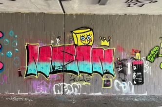 Nach dem Erfolg des ersten Workshops haben wir nun einen zweiten Graffiti-Workshop in Mannheim durchgeführt. Theorie, Praxis und kreative Freiheit in einem einzigartigen Erlebnis.