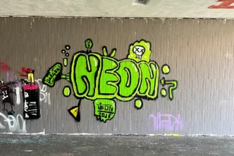 Nach dem Erfolg des ersten Workshops haben wir nun einen zweiten Graffiti-Workshop in Mannheim durchgeführt. Theorie, Praxis und kreative Freiheit in einem einzigartigen Erlebnis.