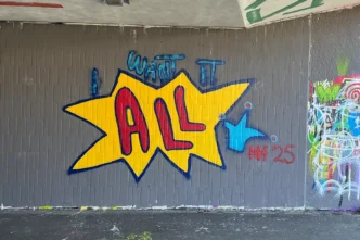 Nach dem Erfolg des ersten Workshops haben wir nun einen zweiten Graffiti-Workshop in Mannheim durchgeführt. Theorie, Praxis und kreative Freiheit in einem einzigartigen Erlebnis.